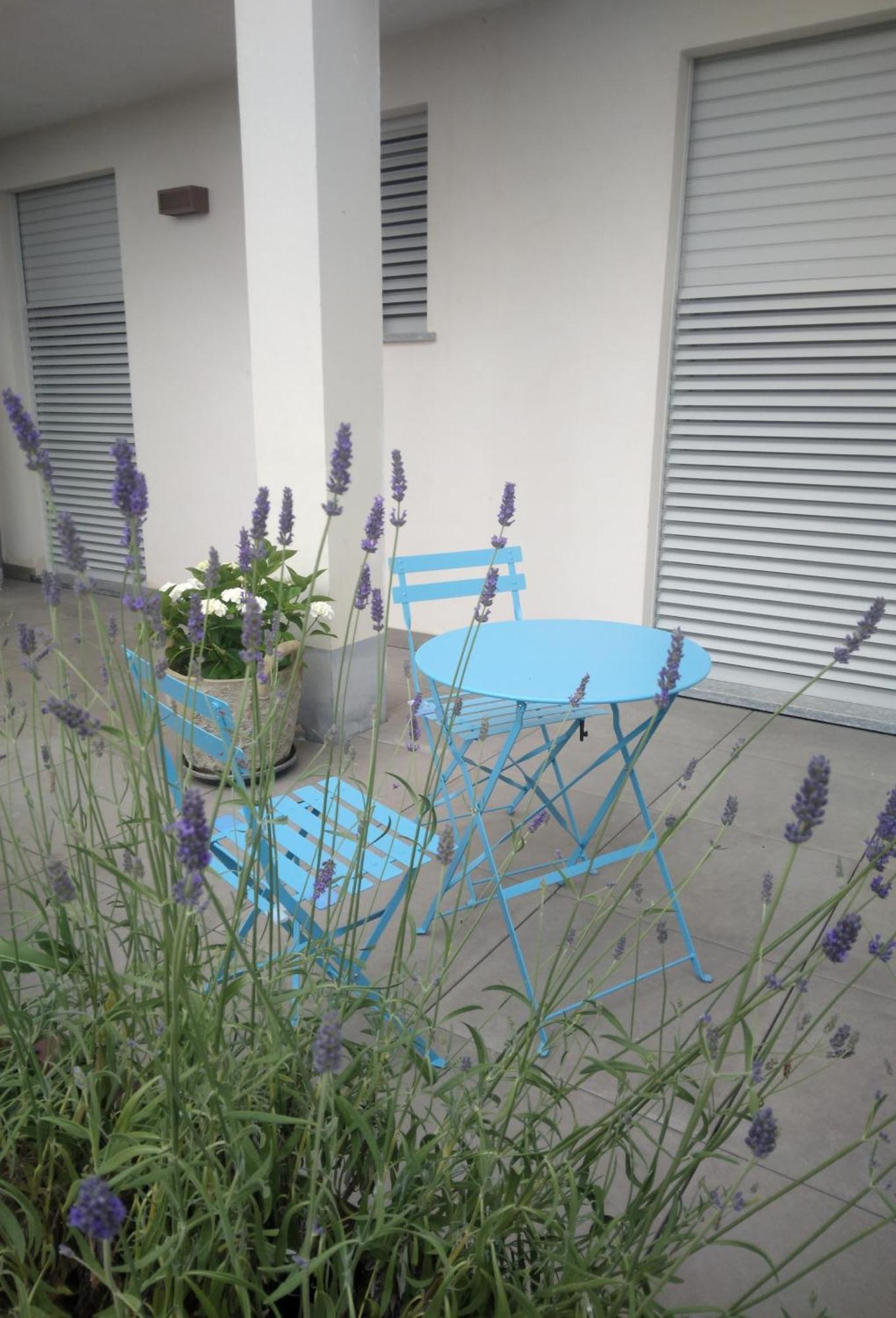 Cicci House Apartment อัลบา ภายนอก รูปภาพ